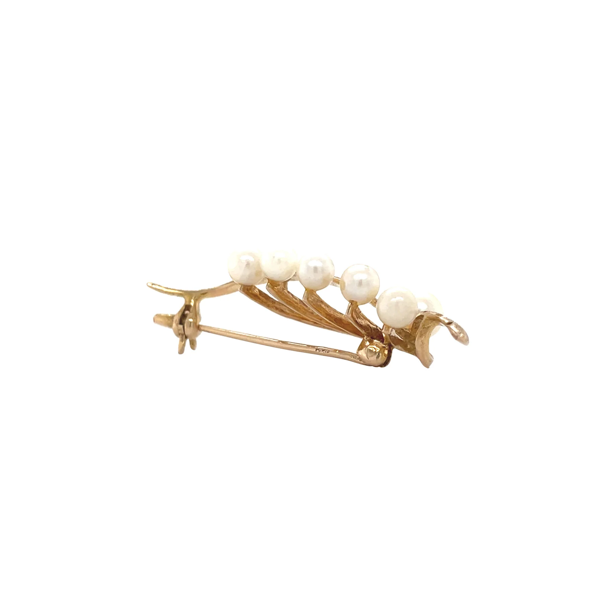 Miniatuur 5