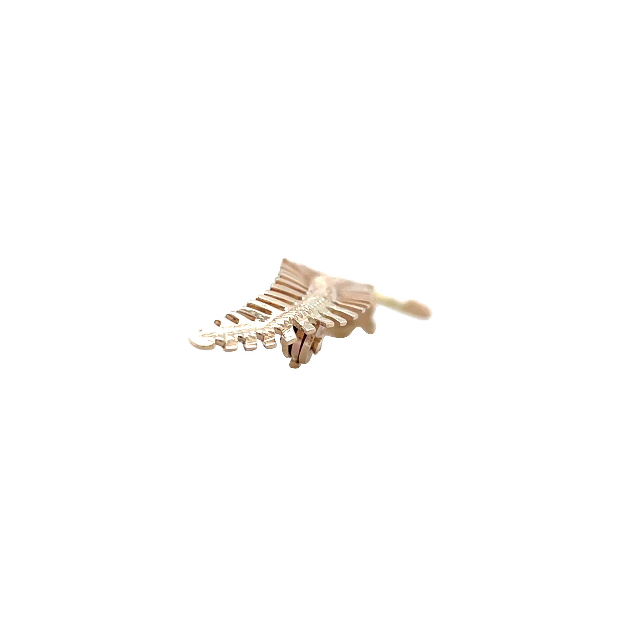 Miniatuur 4