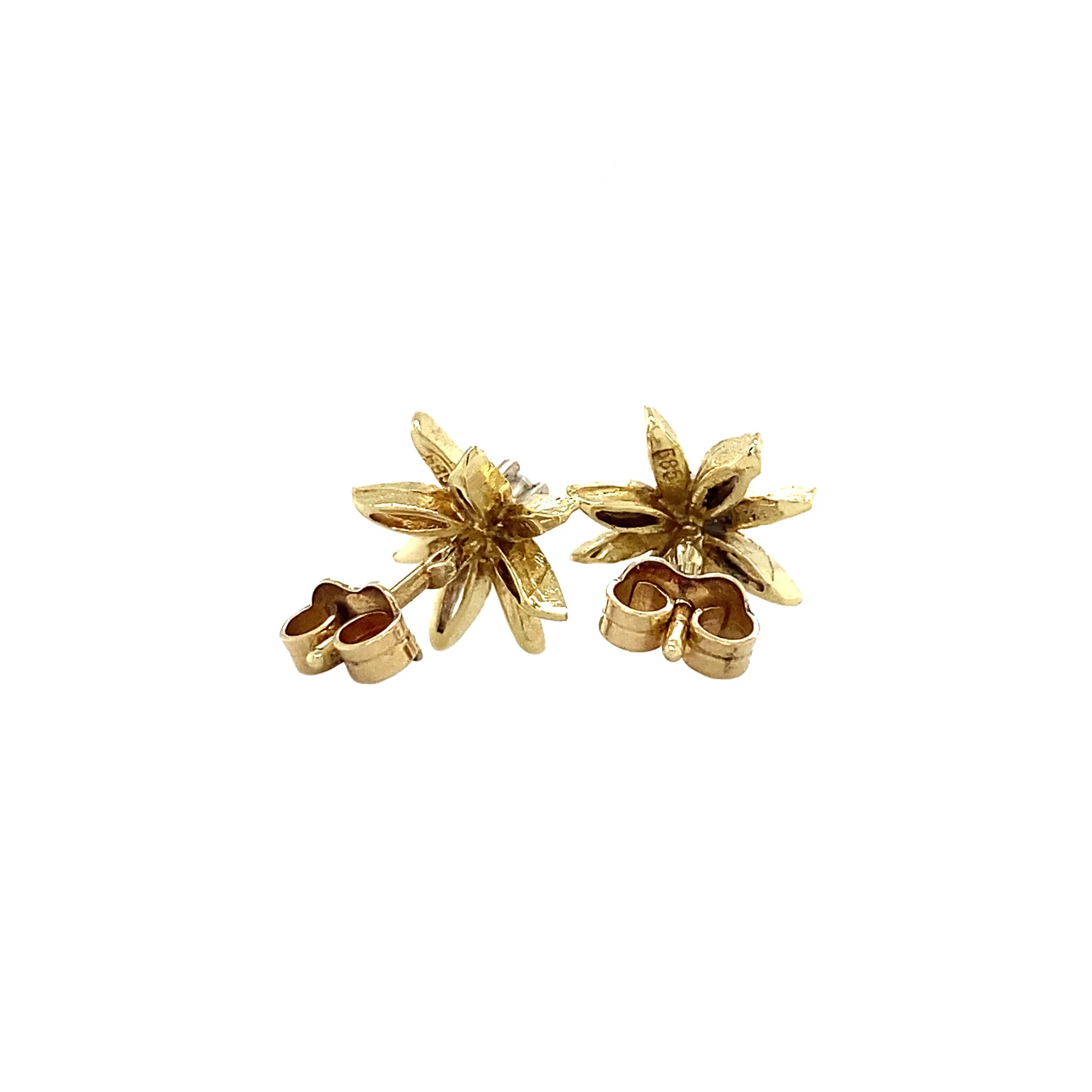 Miniatuur 5