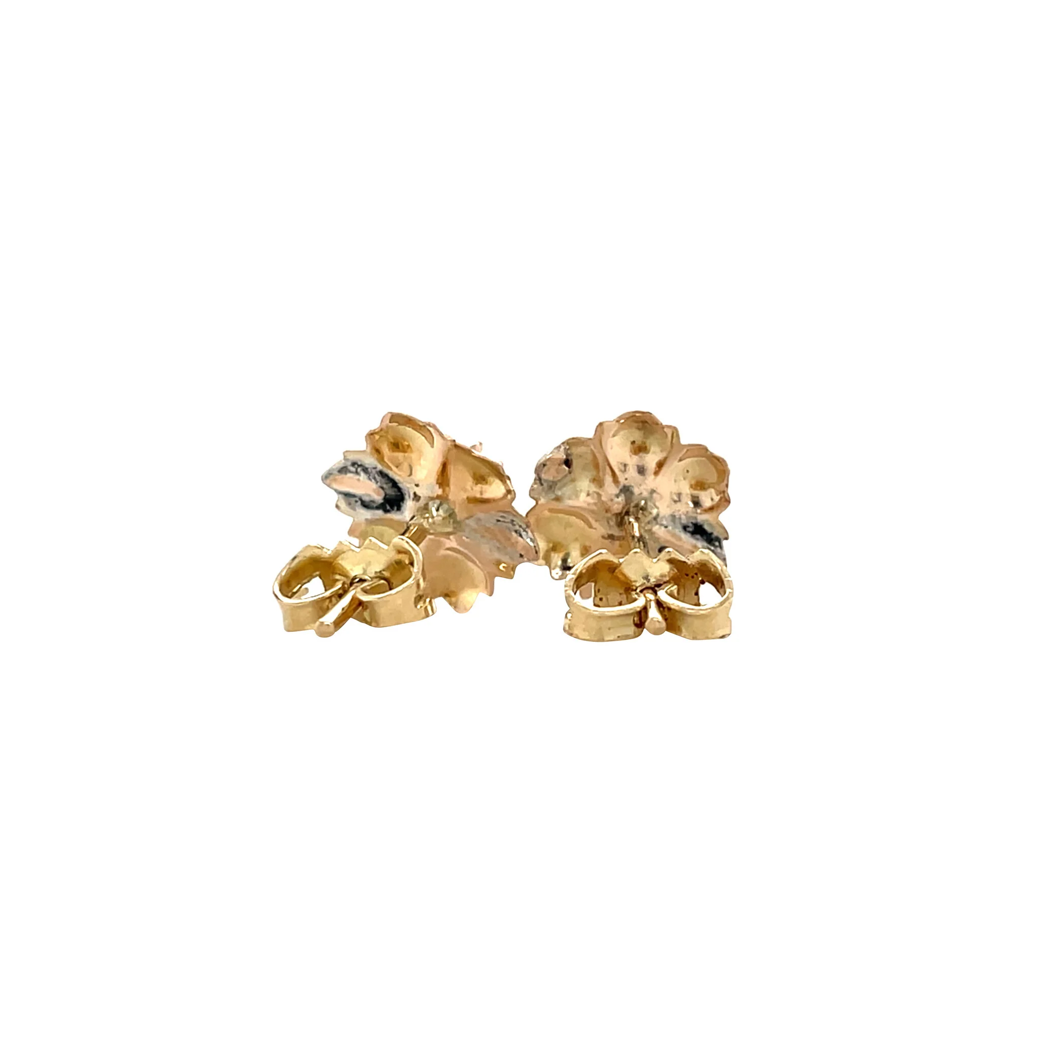 Miniatuur 5