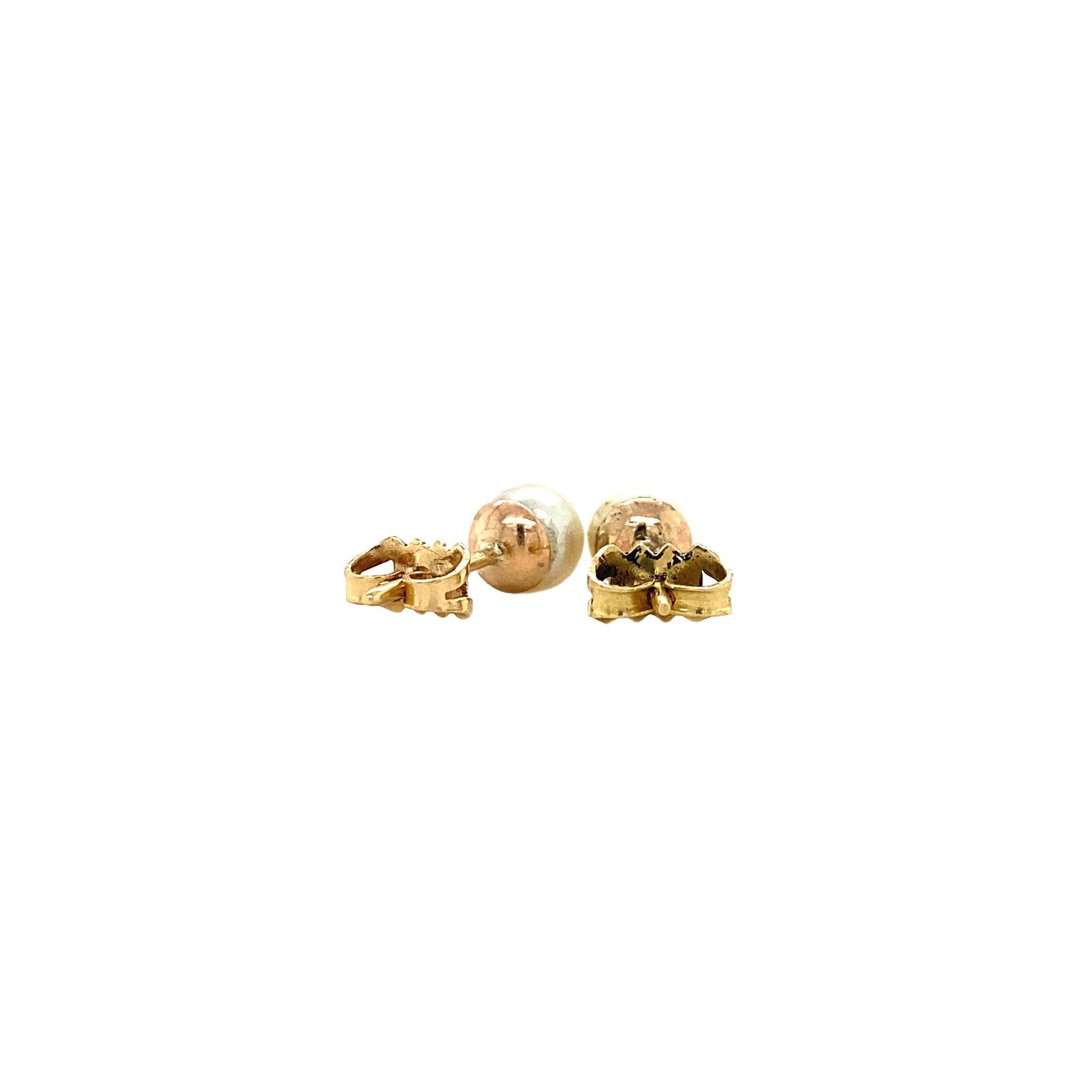 Miniatuur 5